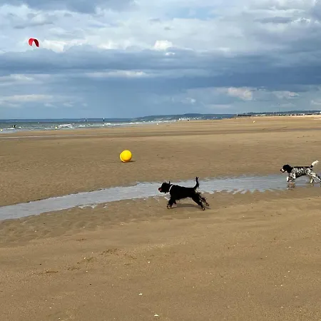 Maison De Vue Et Canal