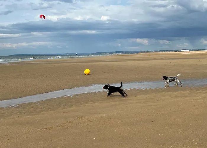 Maison De Vue Et Canal